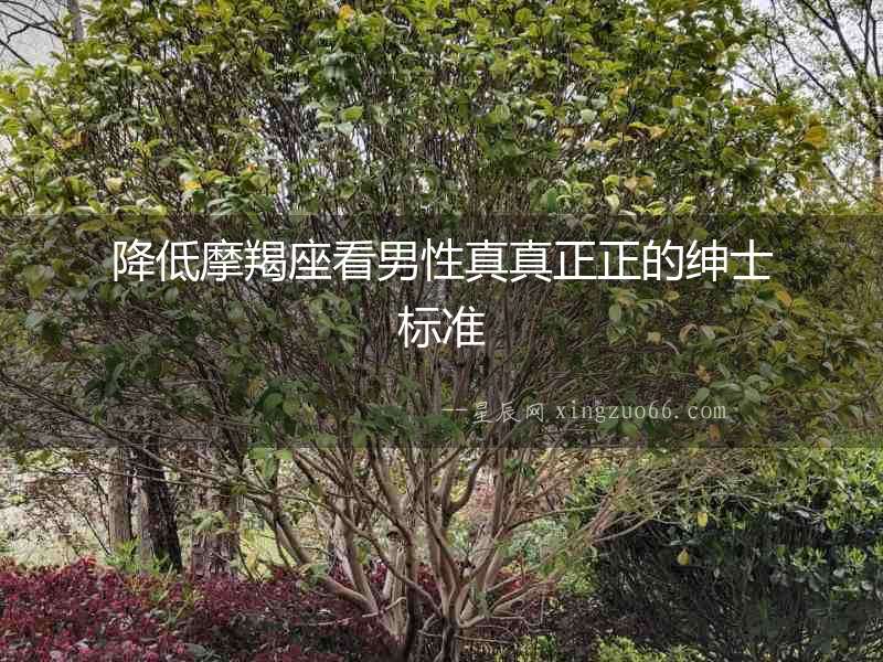 降低摩羯座看男性真真正正的紳士標準
