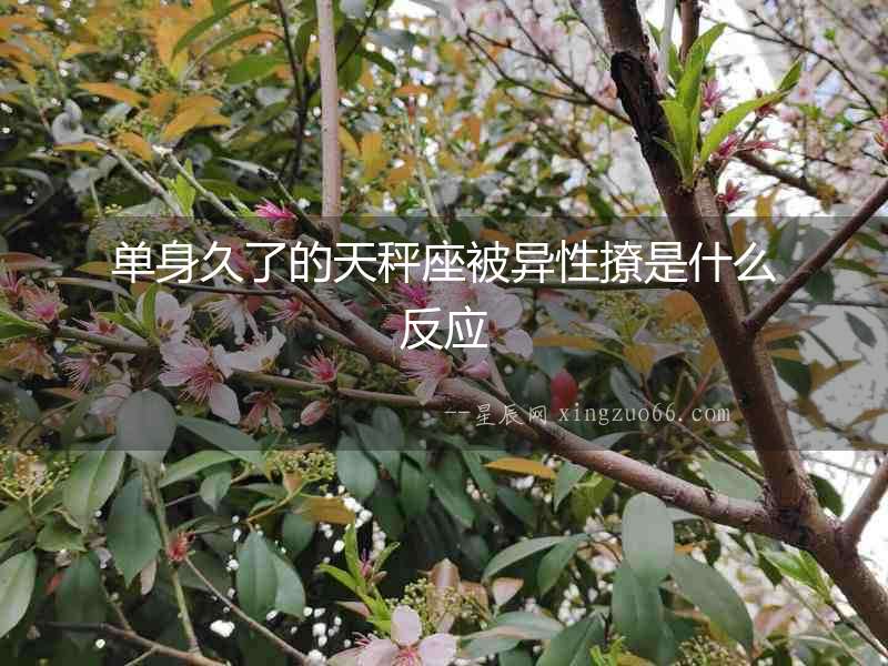 單身久了的天秤座被異性撩是什么反應