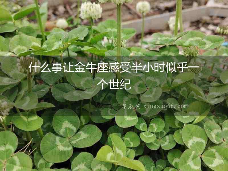 什么事讓金牛座感受半小時似乎一個世紀