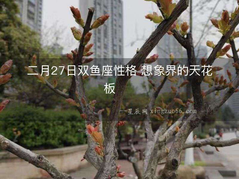二月27日雙魚座性格 想象界的天花板  　　