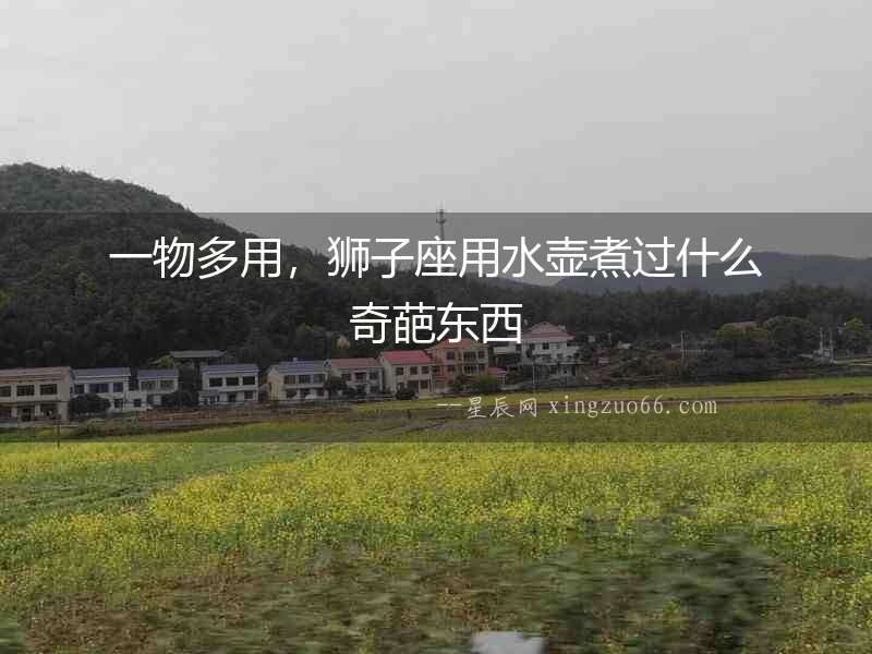 一物多用，獅子座用水壺煮過(guò)什么奇葩東西