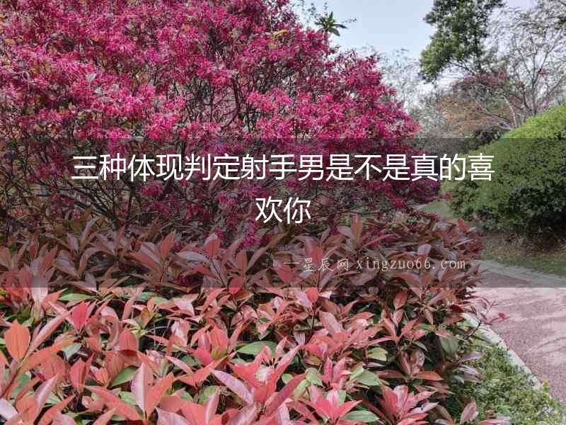 三種體現判定射手男是不是真的喜歡你