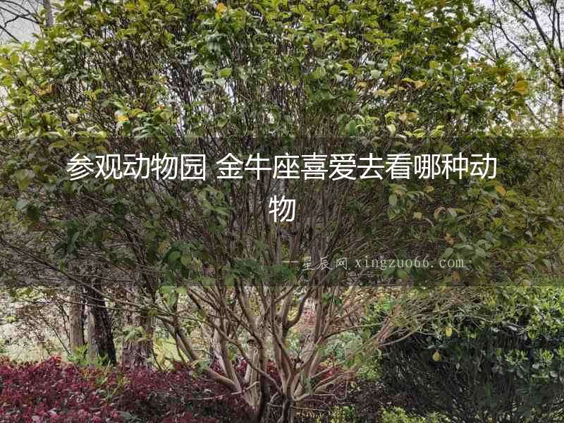 參觀動物園 金牛座喜愛去看哪種動物