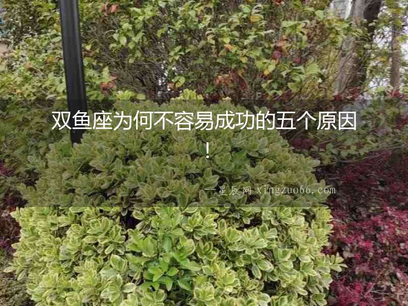 雙魚座為何不容易成功的五個原因！