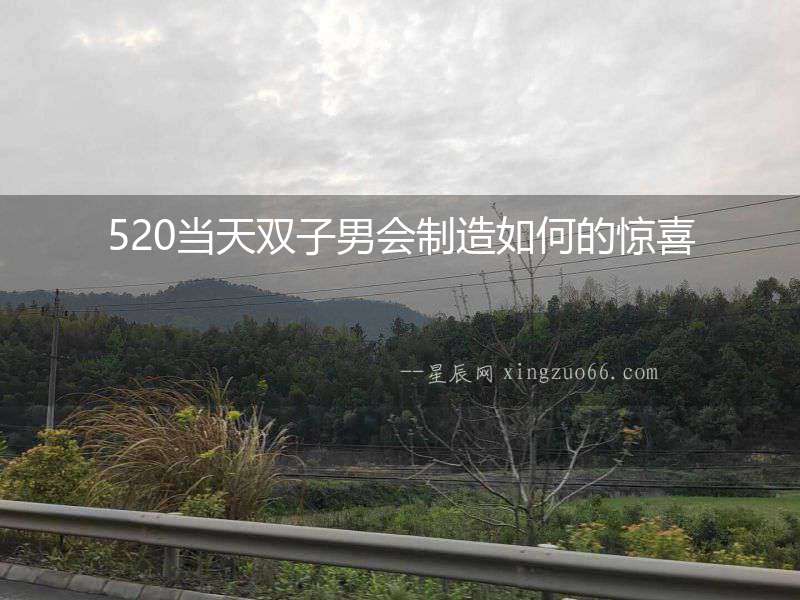 520當天雙子男會制造如何的驚喜
