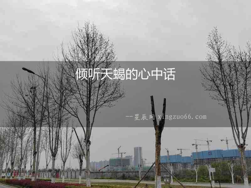 傾聽天蝎的心中話