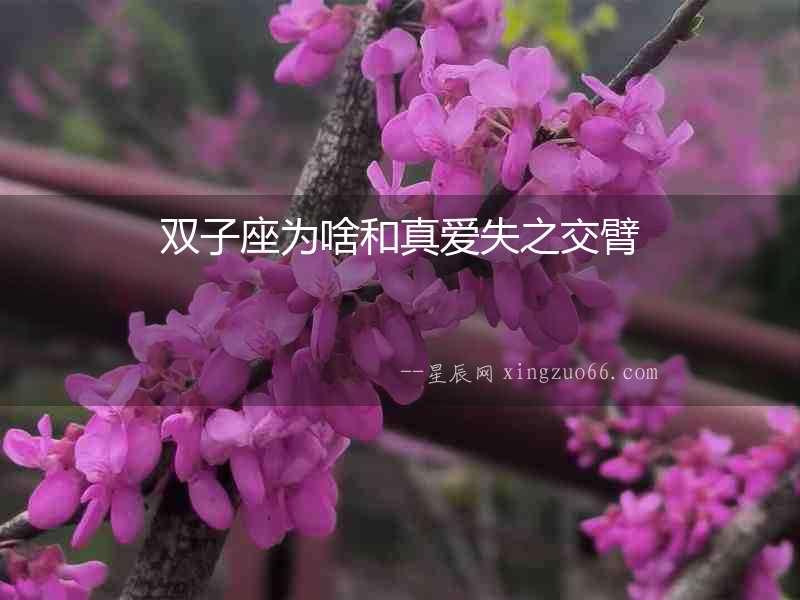 雙子座為啥和真愛失之交臂