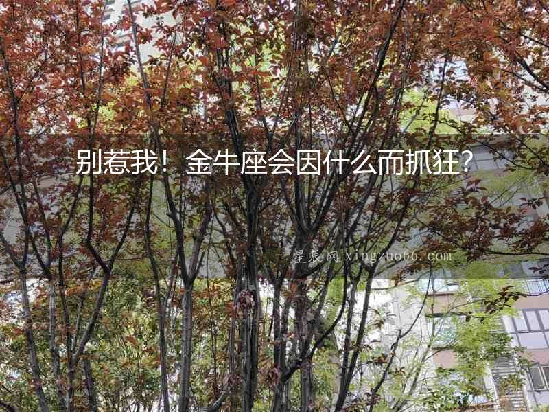 別惹我！金牛座會因什么而抓狂？