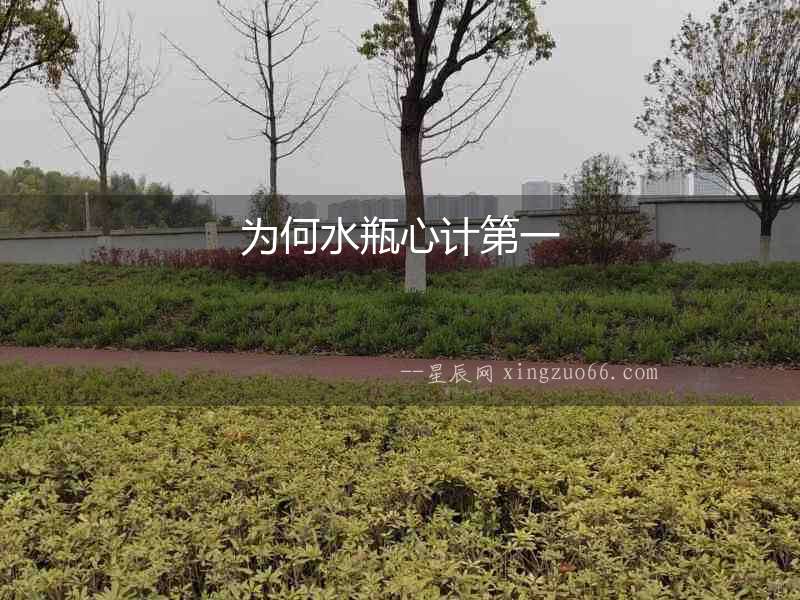 為何水瓶心計第一