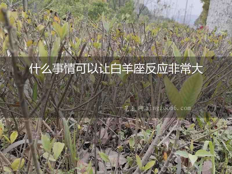 什么事情可以讓白羊座反應(yīng)非常大