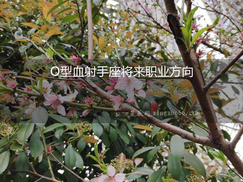 O型血射手座將來職業方向