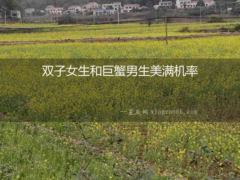 雙子女生和巨蟹男生美滿機率