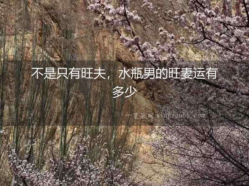 不是只有旺夫，水瓶男的旺妻運有多少