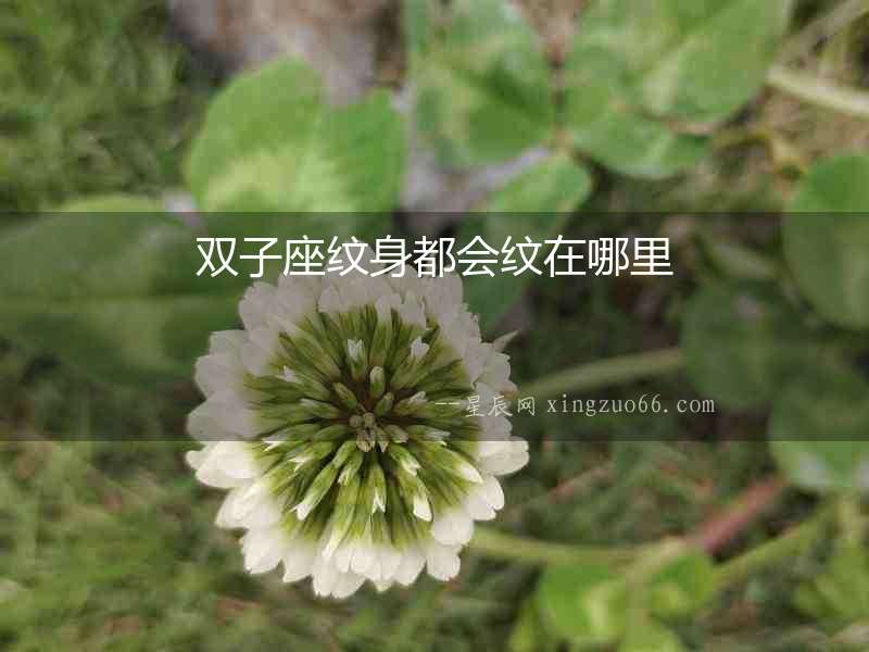 雙子座紋身都會紋在哪里
