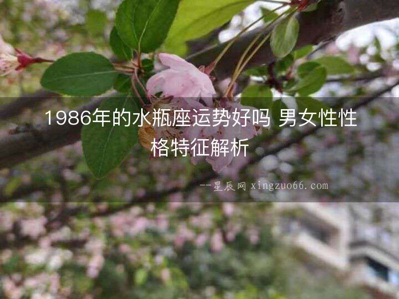1986年的水瓶座運(yùn)勢(shì)好嗎 男女性性格特征解析