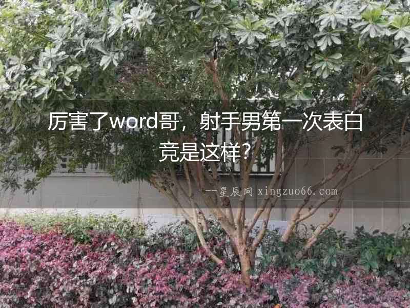 厲害了word哥，射手男第一次表白競是這樣？