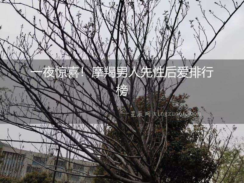 一夜驚喜！摩羯男人先性后愛排行榜