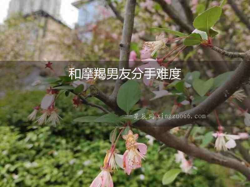 和摩羯男友分手難度