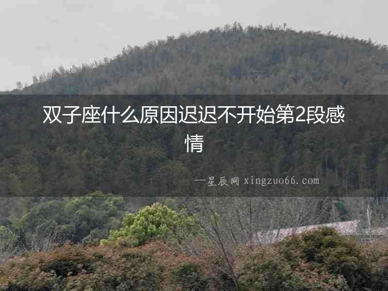 雙子座什么原因遲遲不開始第2段感情