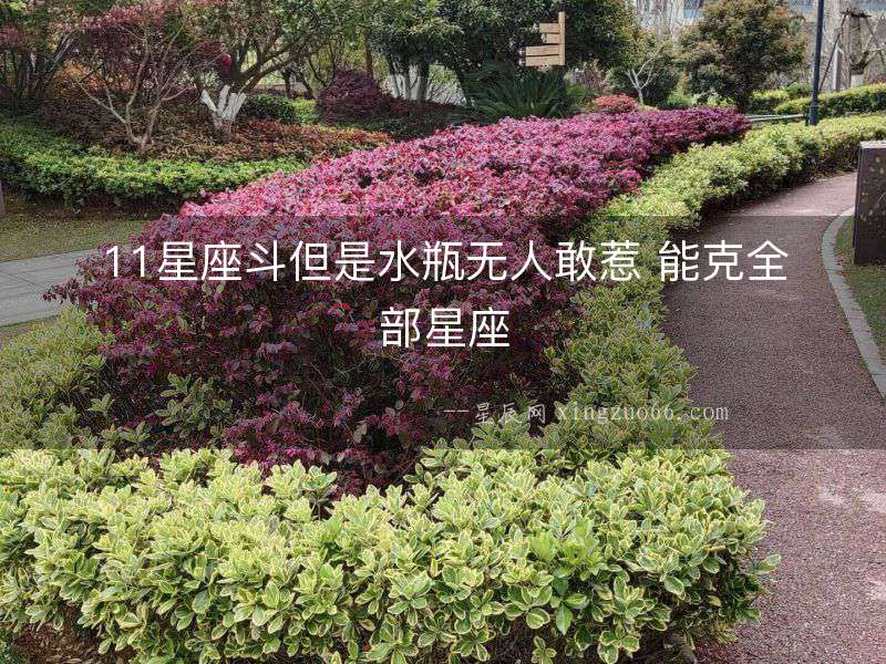 11星座斗但是水瓶無人敢惹 能克全部星座