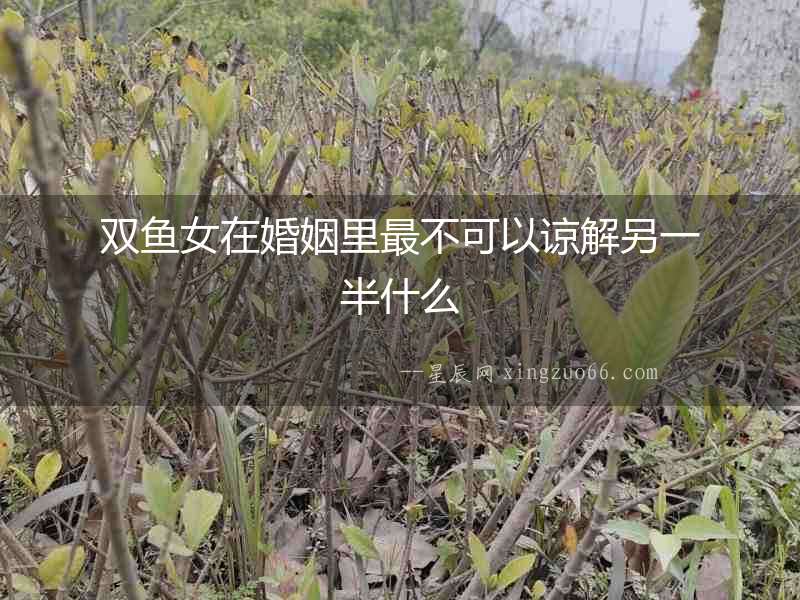 雙魚女在婚姻里最不可以諒解另一半什么