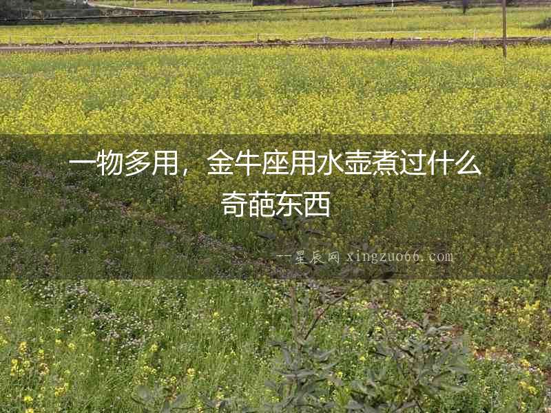 一物多用，金牛座用水壺煮過什么奇葩東西