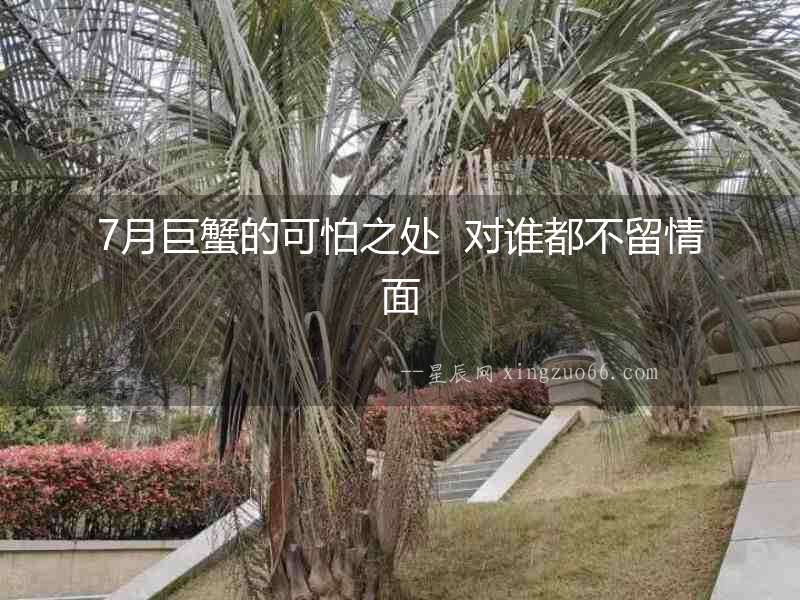 7月巨蟹的可怕之處  對誰都不留情面