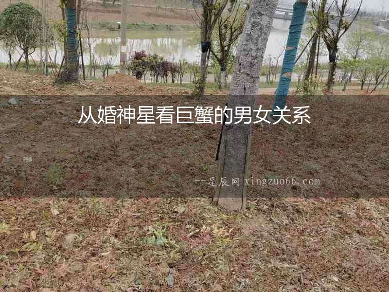 從婚神星看巨蟹的男女關系