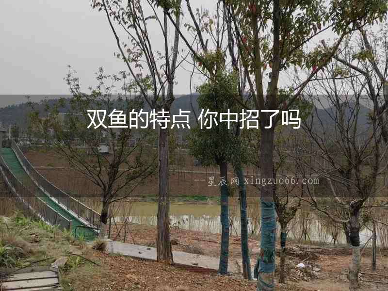 雙魚的特點 你中招了嗎