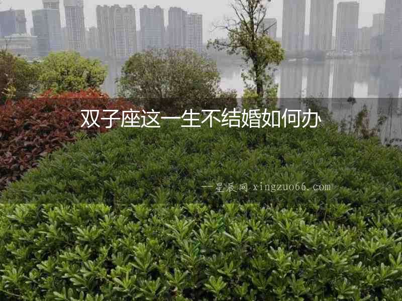 雙子座這一生不結婚如何辦