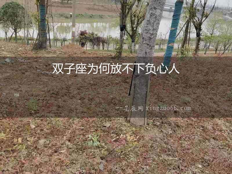 雙子座為何放不下負心人