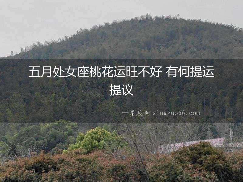 五月處女座桃花運旺不好 有何提運提議