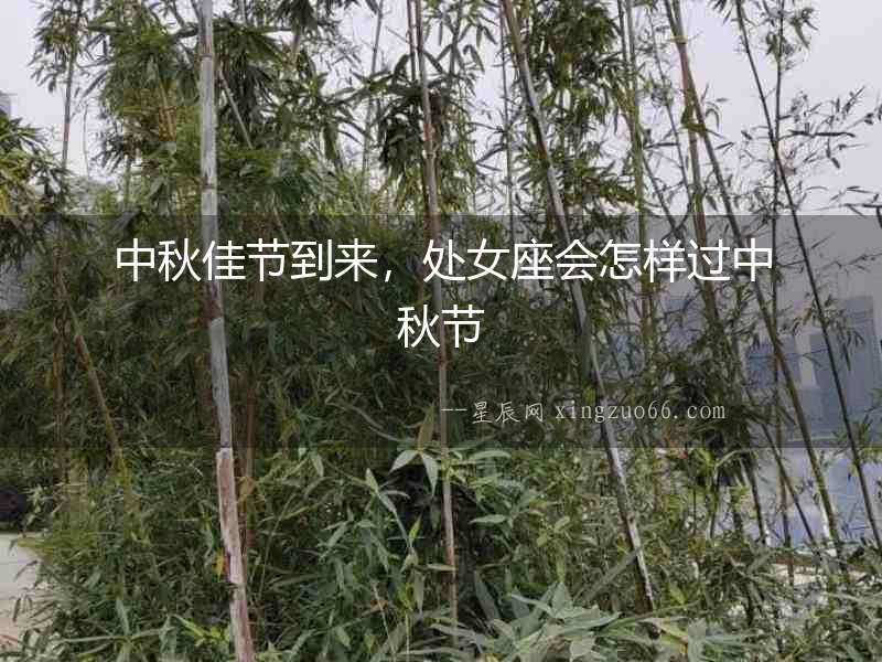 中秋佳節(jié)到來(lái)，處女座會(huì)怎樣過(guò)中秋節(jié)
