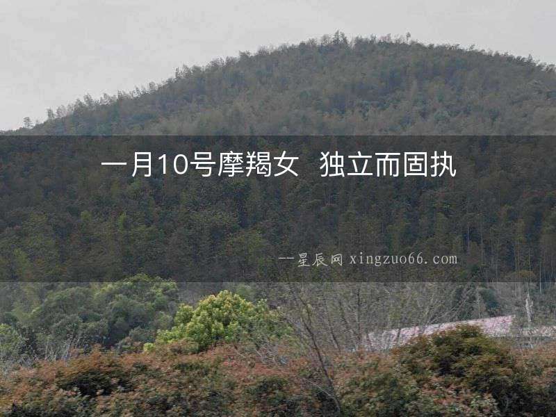 一月10號摩羯女  獨立而固執(zhí)
