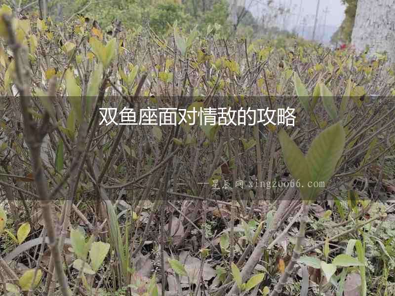雙魚座面對情敵的攻略