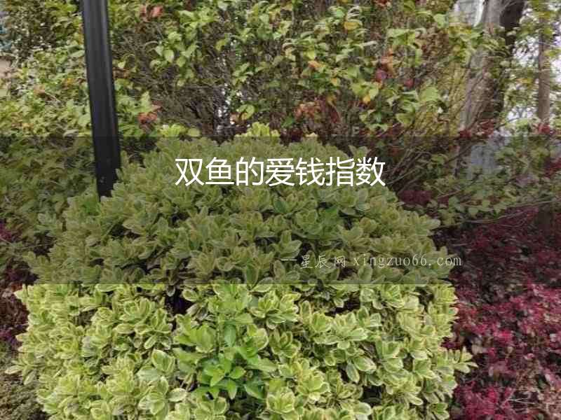 雙魚的愛錢指數