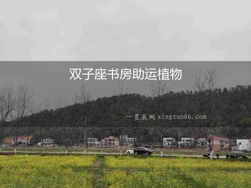雙子座書房助運植物