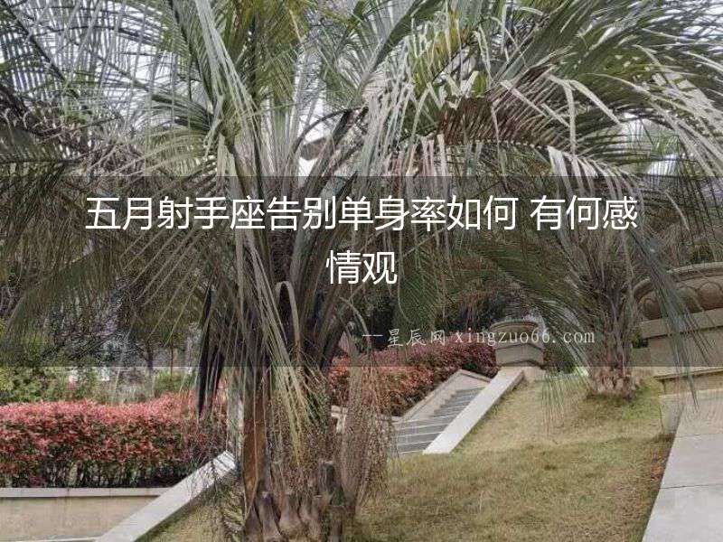 五月射手座告別單身率如何 有何感情觀