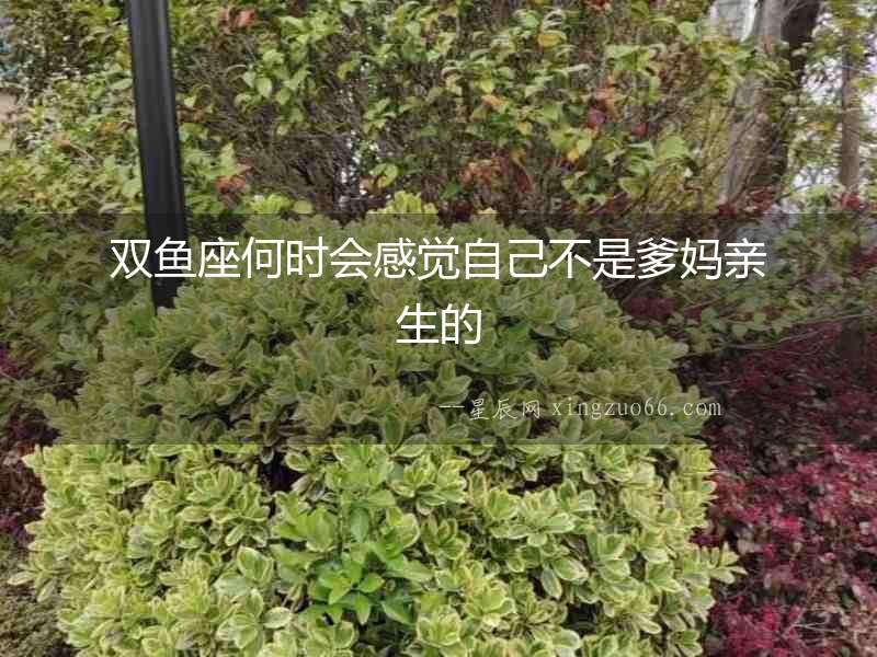 雙魚座何時會感覺自己不是爹媽親生的