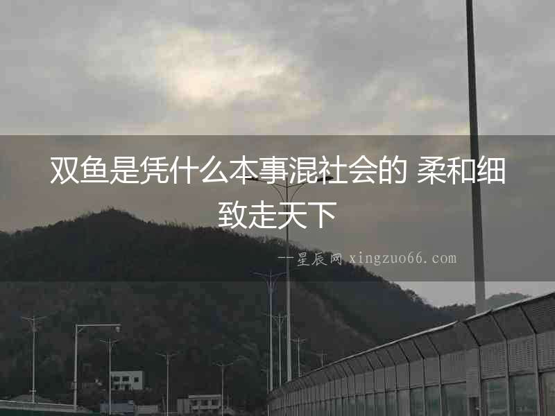 雙魚是憑什么本事混社會(huì)的 柔和細(xì)致走天下