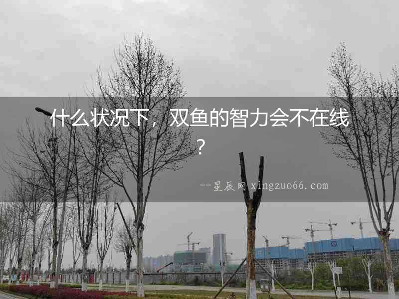 什么狀況下，雙魚(yú)的智力會(huì)不在線？
