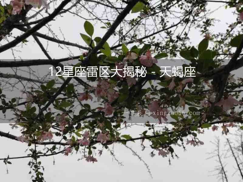12星座雷區大揭秘 - 天蝎座