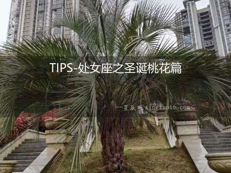 TIPS-處女座之圣誕桃花篇