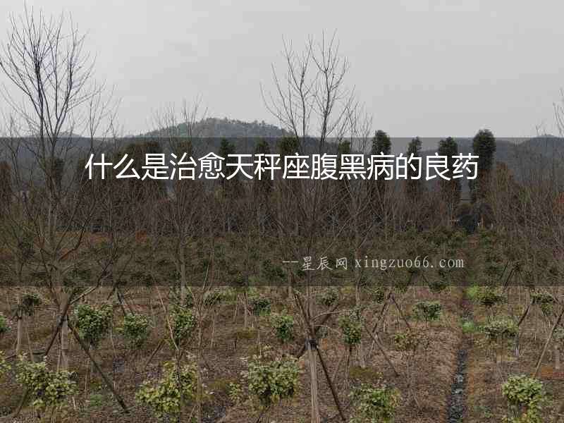 什么是治愈天秤座腹黑病的良藥