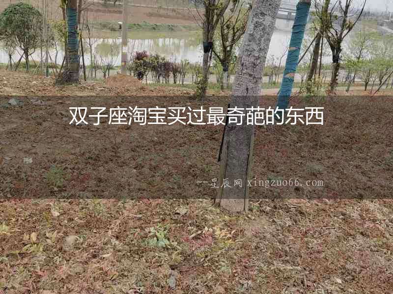 雙子座淘寶買過最奇葩的東西