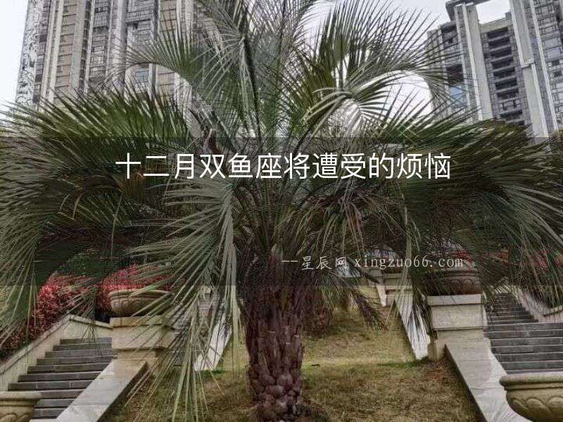 十二月雙魚座將遭受的煩惱