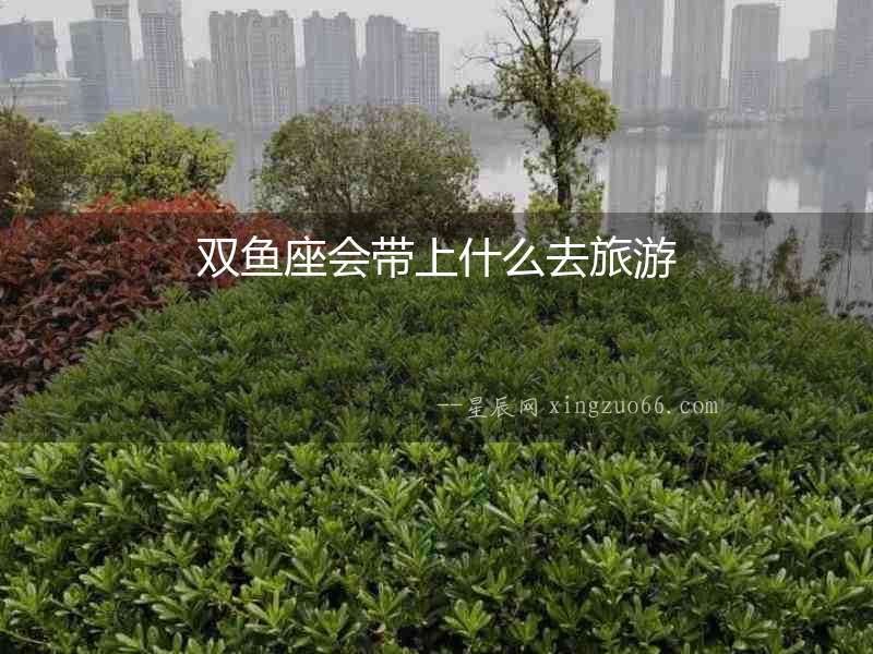 雙魚座會帶上什么去旅游