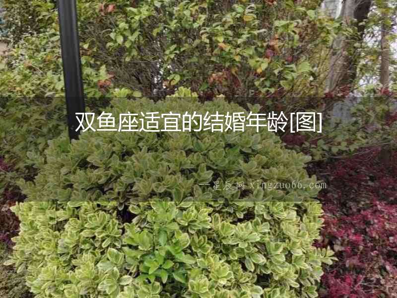 雙魚座適宜的結婚年齡[圖]
