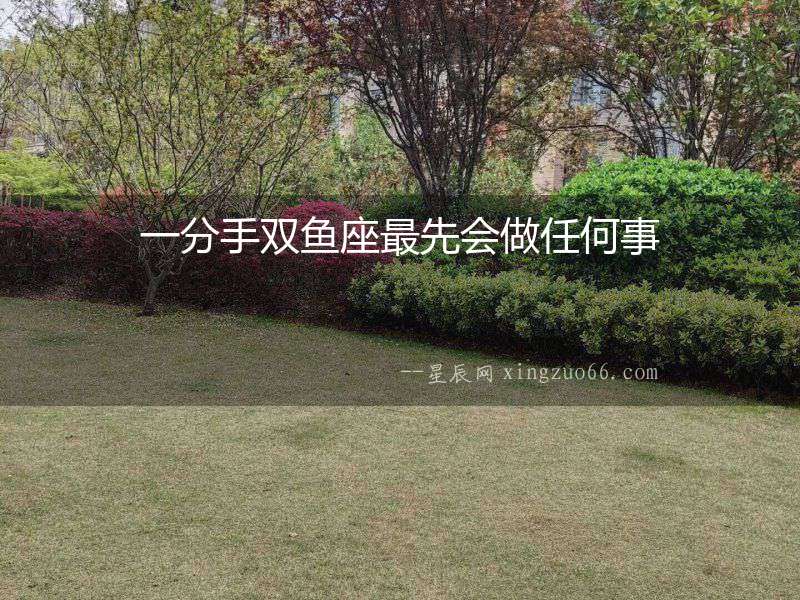 一分手雙魚座最先會做任何事