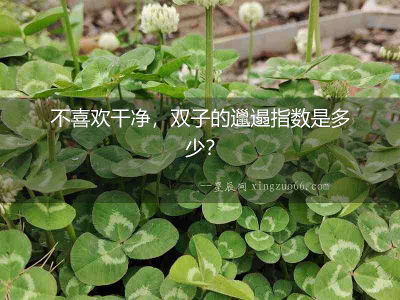 不喜歡干凈，雙子的邋遢指數(shù)是多少？